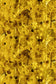 Storm Blotch Velvet Fabric - Yellow - Timorous Beasties - DIGI/SBLO/CE61/05 - Premier Wallcovering
