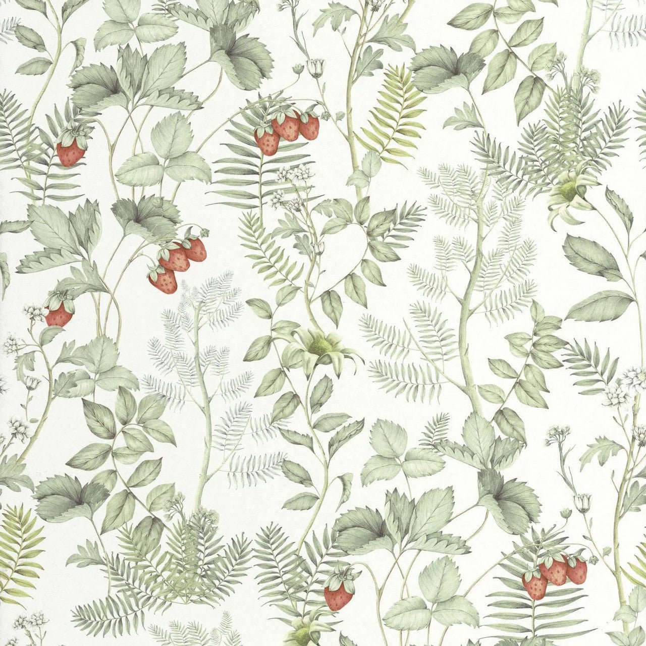 Strawberry Field Heritage Wallpaper - Vert D'eau - Casadeco - 201217155 - Premier Wallcovering