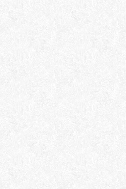 Stucco Crackle Wallpaper - Ozenfant - Timorous Beasties - STCO/STCR/PRL/01 - Premier Wallcovering