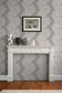 Stucco Stripe Wallpaper - Silver - Timorous Beasties - STCO/SSP/4008/01 - Premier Wallcovering