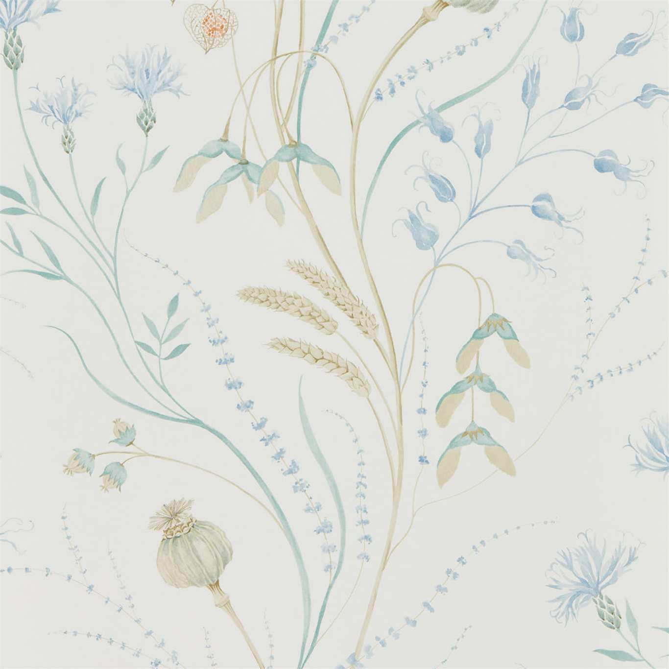Summer Harvest Wallpaper - Cornflower/Wheat - Sanderson - DEBB216496