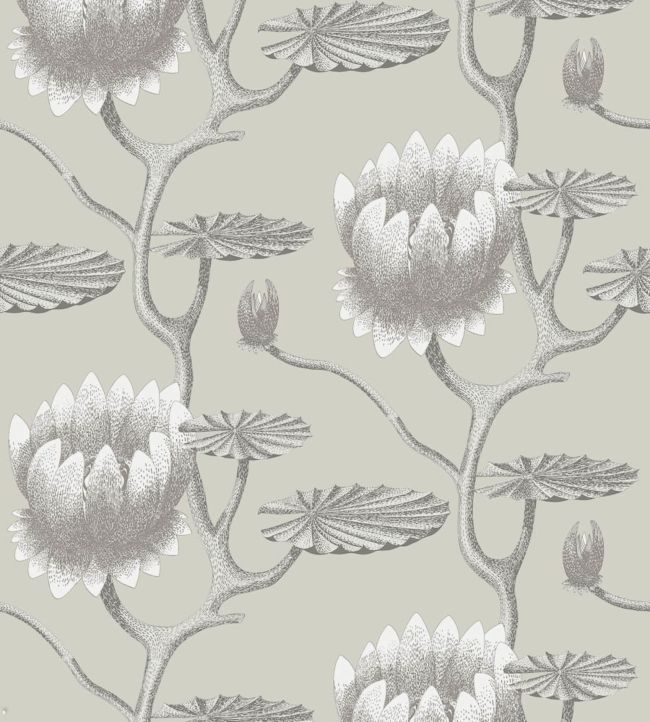 Summer Lily Wallpaper - White on Stone - 95/4025 - Cole & Son - Premier Wallcovering