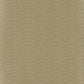 Sunstone Wallpaper - Taupe - J8014 - 06 - Jane Churchill