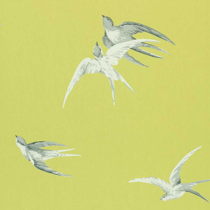 Swallows Wallpaper - Lime - DVIWSW101 - Sanderson