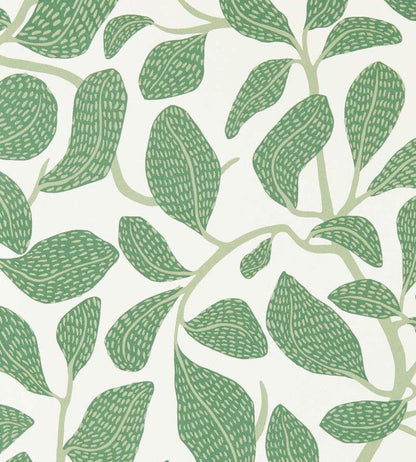Sweet Bay Wallpaper - Forest - Scion - NSCW113268