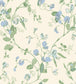 Sweet Pea Archive Anthology Wallpaper - Cerulean & Sky on White - 100/6031 - Cole & Son - Premier Wallcovering