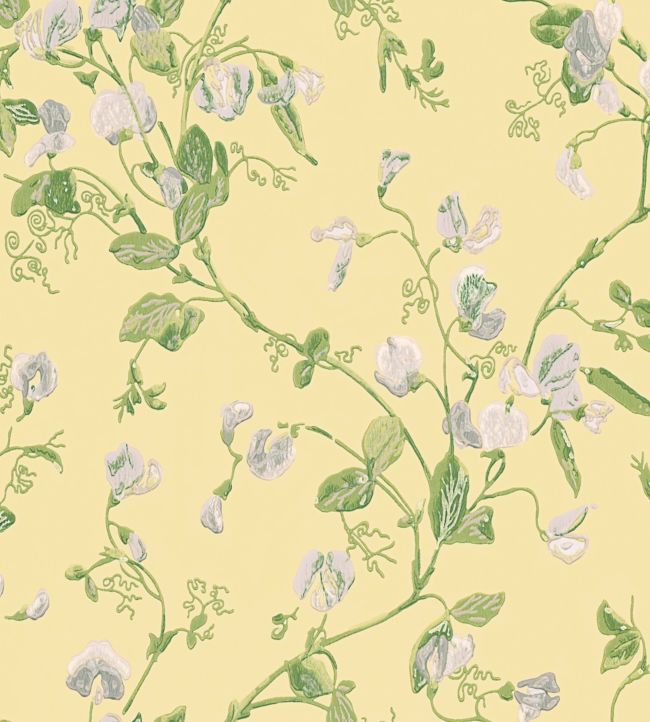 Sweet Pea Archive Anthology Wallpaper - Grey & Lime on Yellow - 100/6029 - Cole & Son - Premier Wallcovering