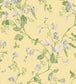 Sweet Pea Archive Anthology Wallpaper - Grey & Lime on Yellow - 100/6029 - Cole & Son - Premier Wallcovering