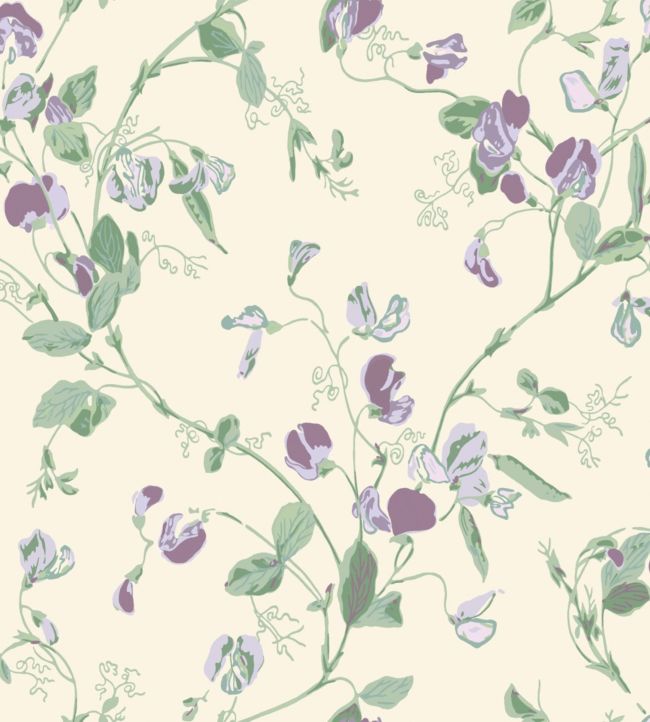 Sweet Pea Archive Anthology Wallpaper - Mulberry & Sage on Cream - 100/6030 - Cole & Son - Premier Wallcovering