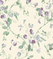 Sweet Pea Archive Anthology Wallpaper - Mulberry & Sage on Cream - 100/6030 - Cole & Son - Premier Wallcovering