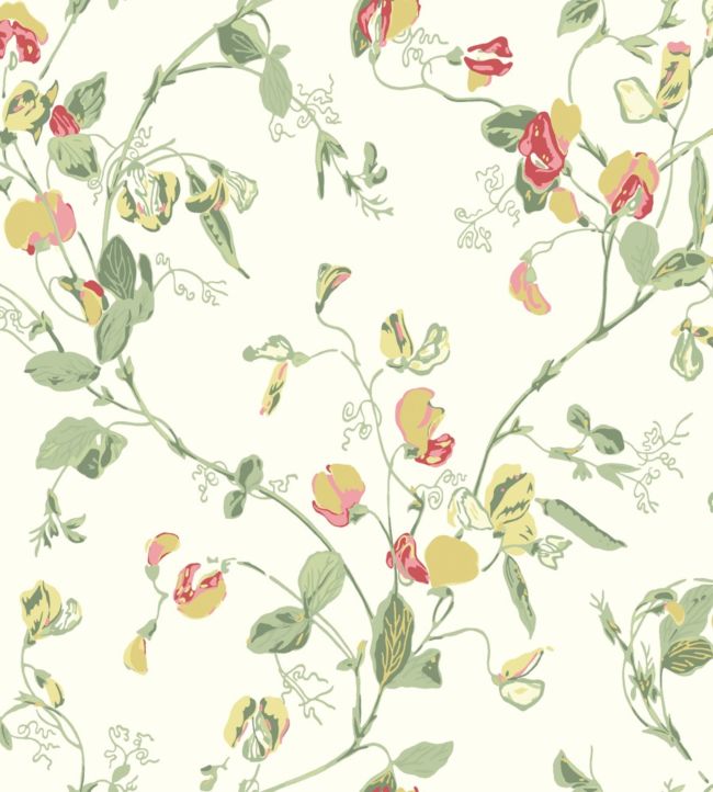 Sweet Pea Archive Anthology Wallpaper - Yellow & Coral on Cream - 100/6027 - Cole & Son - Premier Wallcovering