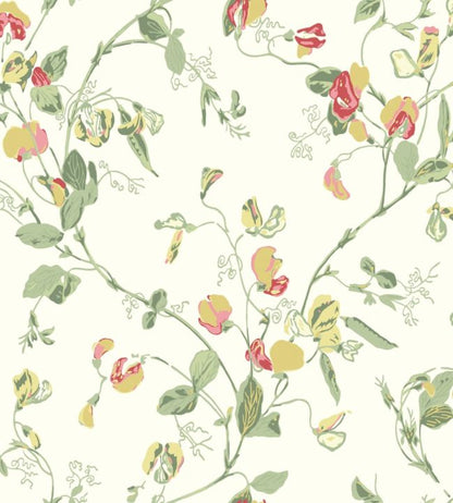 Sweet Pea Archive Anthology Wallpaper - Yellow & Coral on Cream - 100/6027 - Cole & Son - Premier Wallcovering