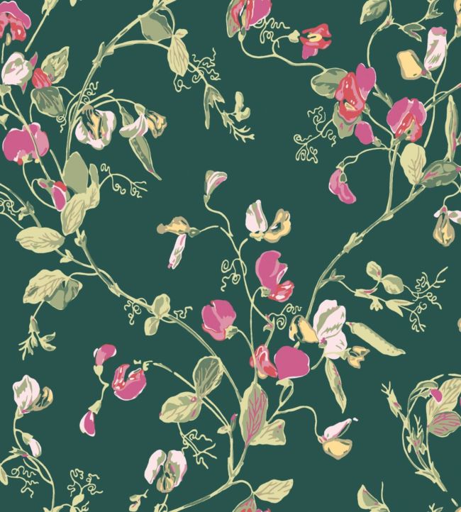 Sweet Pea Wallpaper - Cerise & Magenta on Dark Viridian - 115/11033 - Cole & Son - Premier Wallcovering