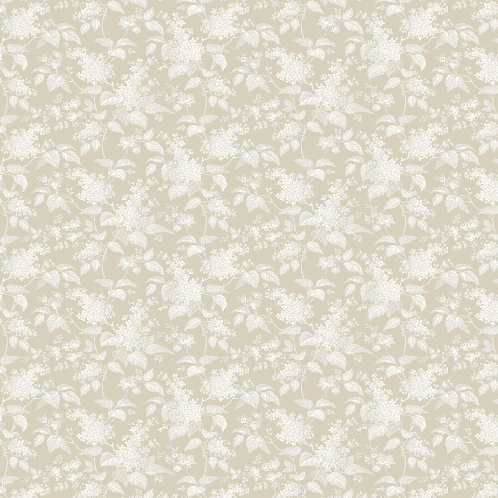 Syren Wallpaper - Beige - Boråstapeter - 6964 - Premier Wallcovering