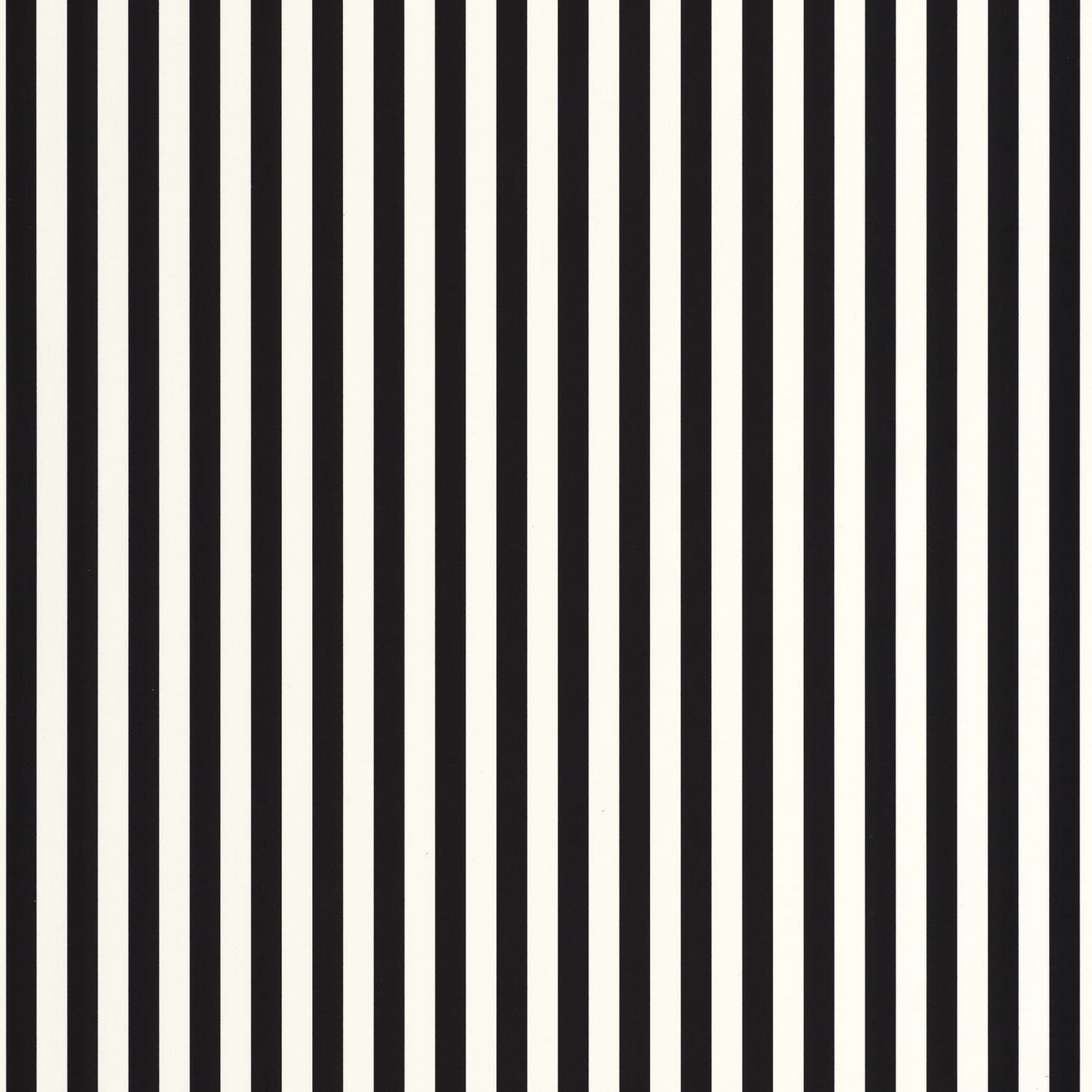 Talea Wallpaper - Noir blanc - Caselio - 106670968