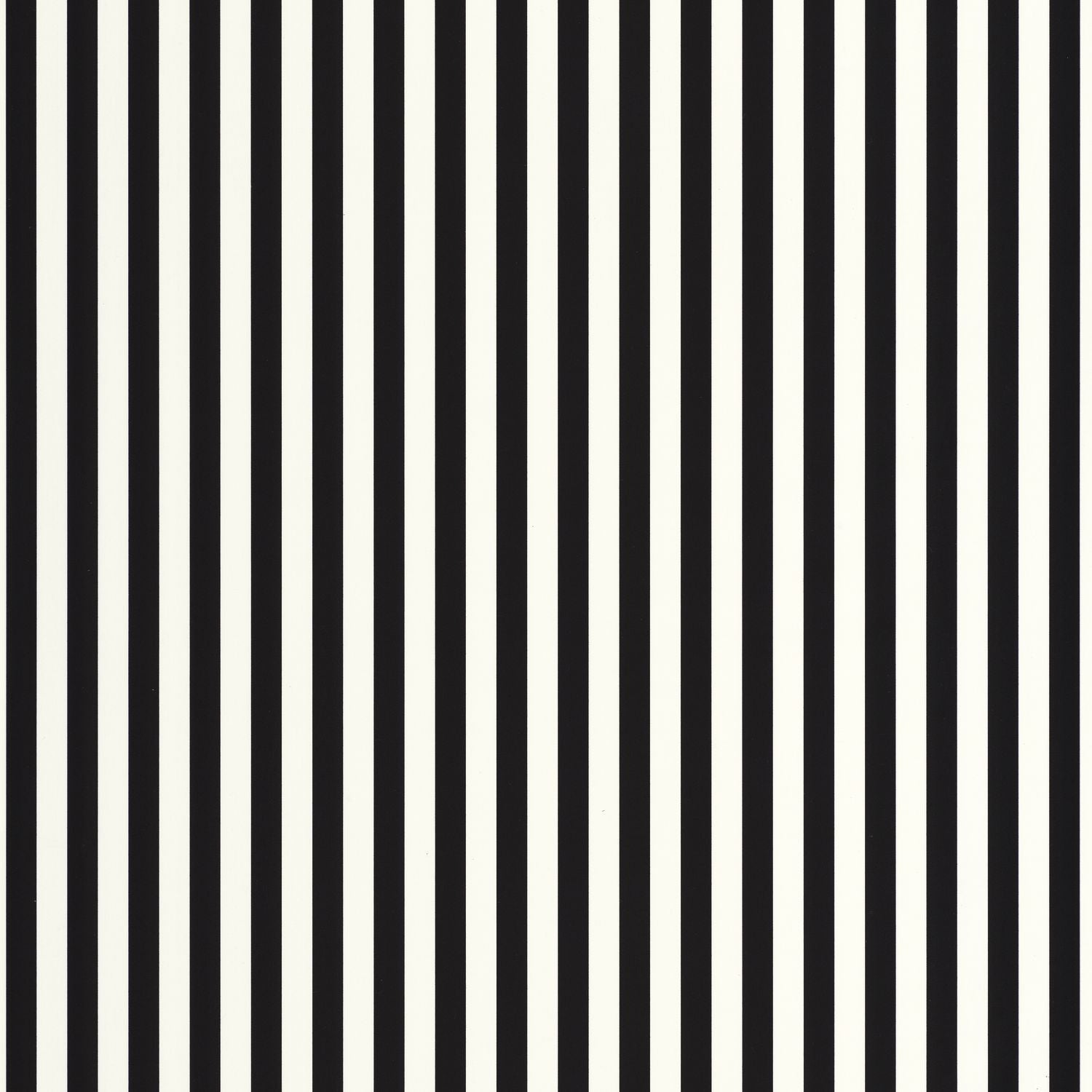 Talea Wallpaper - Noir blanc - Caselio - 106670968