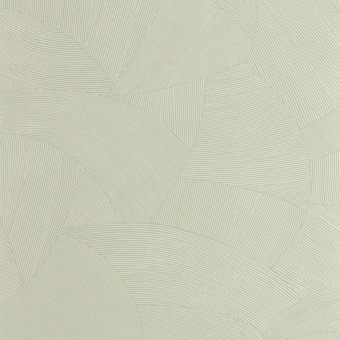 Terra Wallpaper - Sauge - Caselio - 106067000