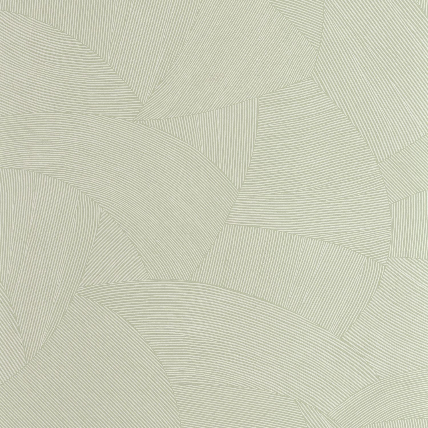 Terra Wallpaper - Sauge - Caselio - 106067000