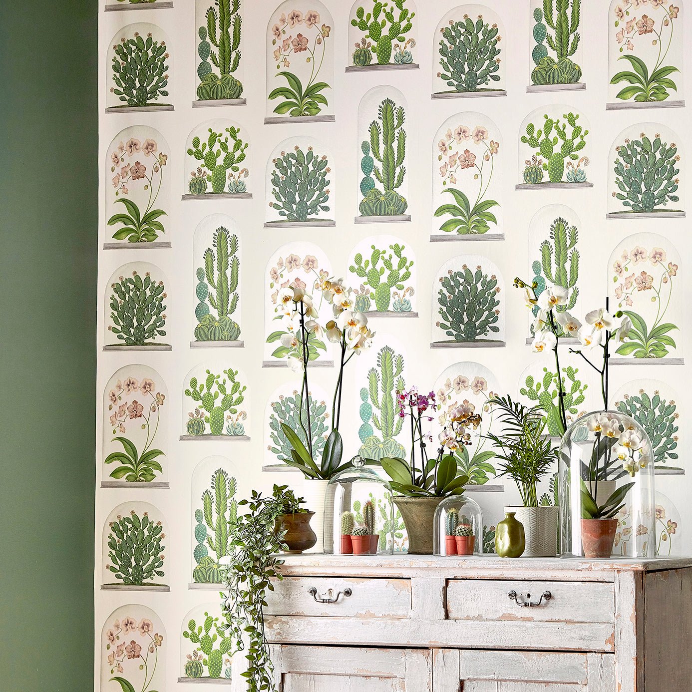 Terrariums Wallpaper - Botanical Green/Multi - Sanderson - DGLW216656