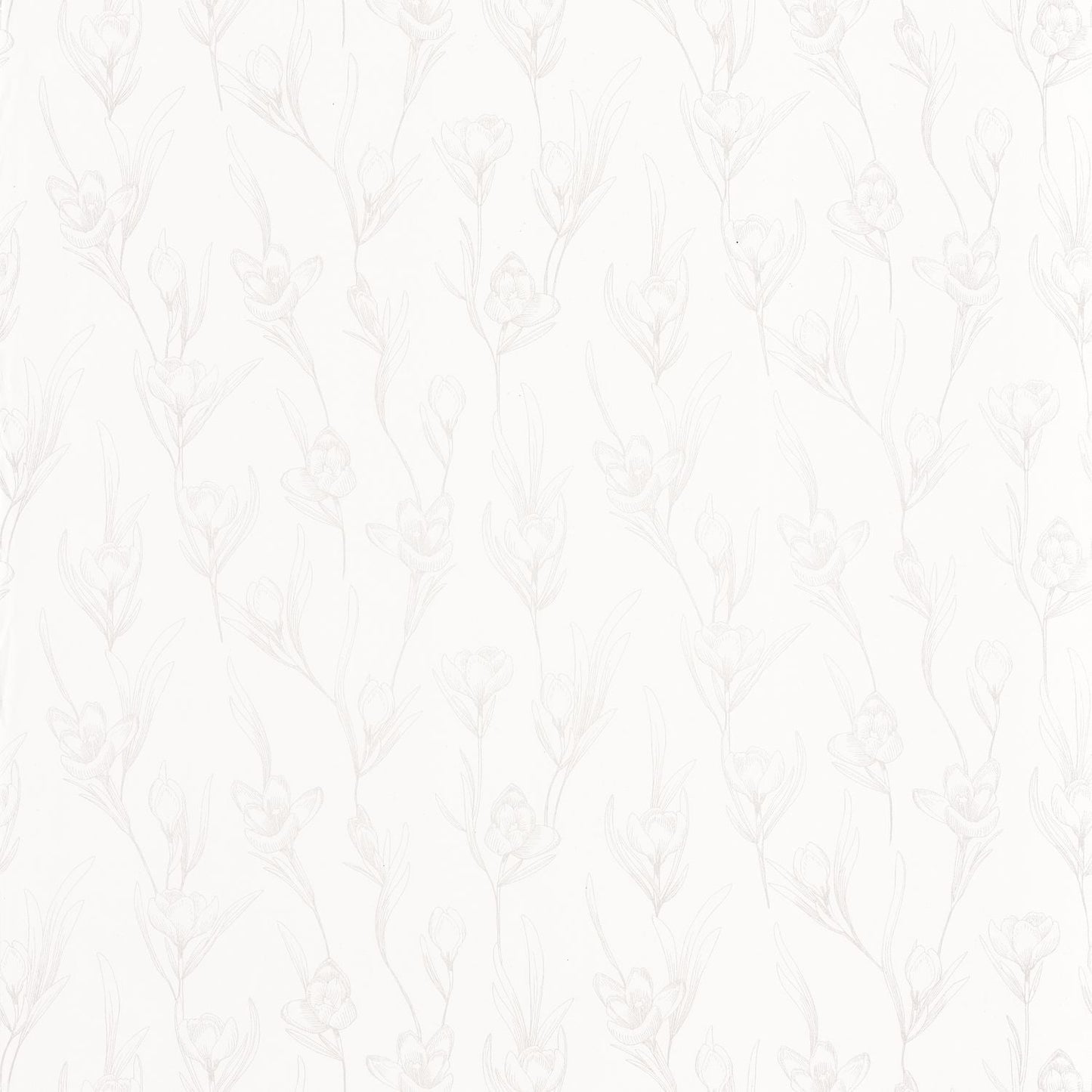 The Place To Bed Day Dreaming Wallpaper - Blanc Irise - Caselio - 101780020