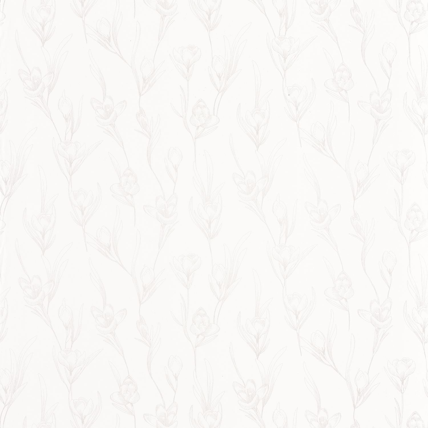 The Place To Bed Day Dreaming Wallpaper - Blanc Irise - Caselio - 101780020