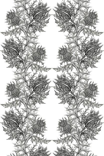 Thistle Fabric - Black - Timorous Beasties - THL/LU/01 - Premier Wallcovering