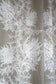 Thistle Fabric - White - Timorous Beasties - THL/1614/01 - Premier Wallcovering