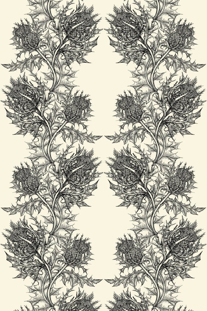 Thistle Superwide Wallpaper - Black on Ivory - Timorous Beasties - SWP/THL/IVY/01 - Premier Wallcovering