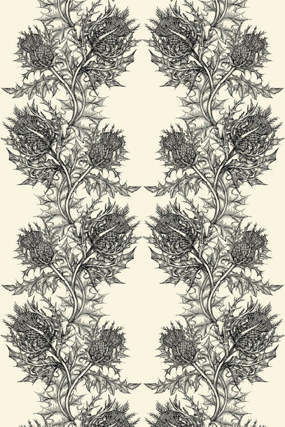 Thistle Superwide Wallpaper - Black on Ivory - Timorous Beasties - SWP/THL/IVY/01 - Premier Wallcovering