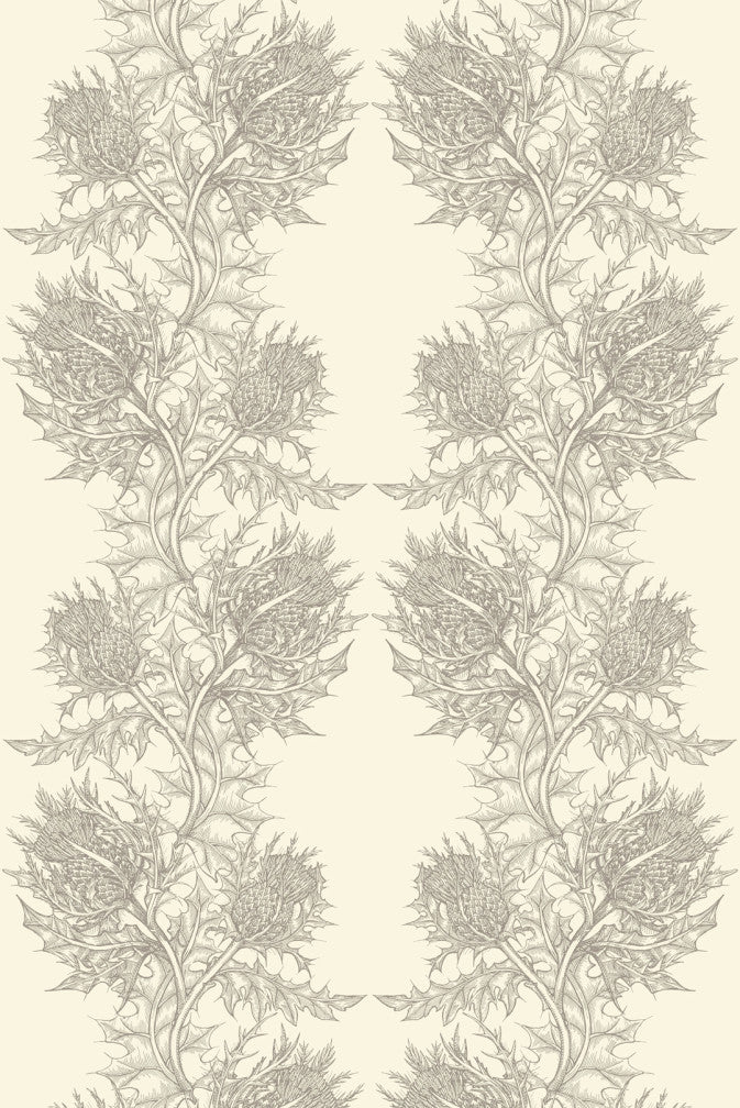 Thistle Superwide Wallpaper - Grey on Ivory - Timorous Beasties - SWP/THL/IVY/03 - Premier Wallcovering