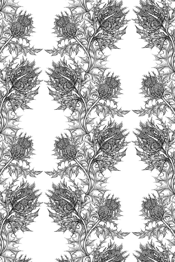 Thistle Wallpaper - Black on White - Timorous Beasties - HS/THL/5005/SNW - Premier Wallcovering