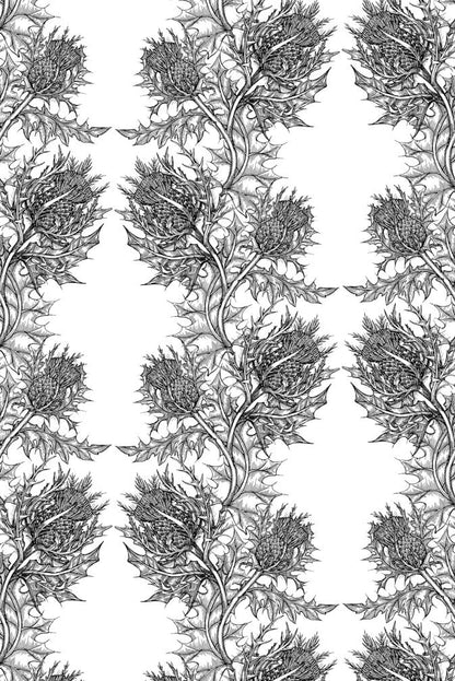 Thistle Wallpaper - Black on White - Timorous Beasties - HS/THL/5005/SNW - Premier Wallcovering
