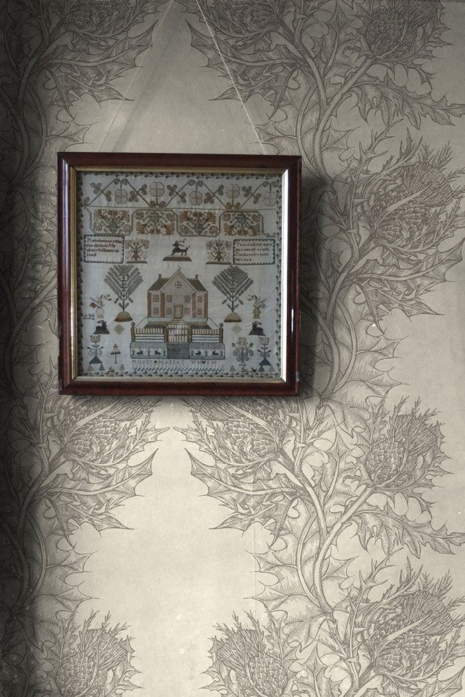 Thistle Wallpaper - Grey on Ivory - Timorous Beasties - HS/THL/5007/SNW - Premier Wallcovering