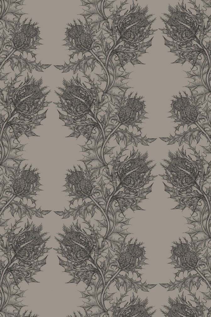 Thistle Wallpaper - Slate on Grey - Timorous Beasties - HS/THL/5006/SNW - Premier Wallcovering