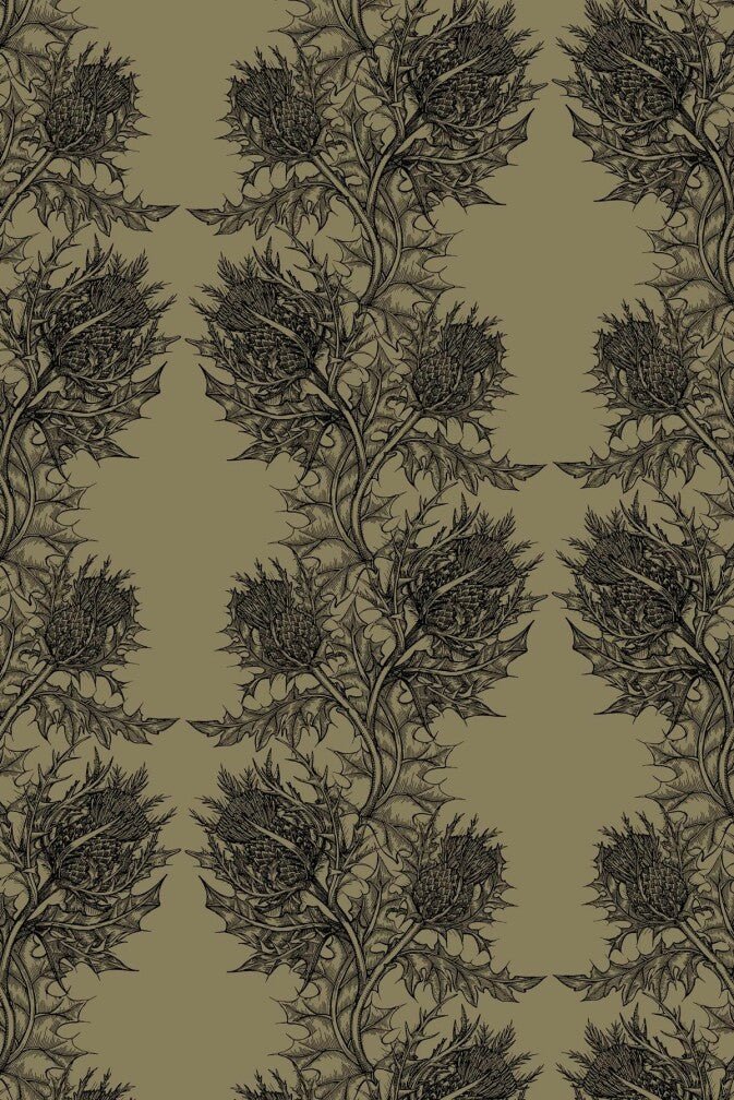 Thistle Wallpaper - Black on Khaki - Timorous Beasties - HS/THL/4002/SNW - Premier Wallcovering