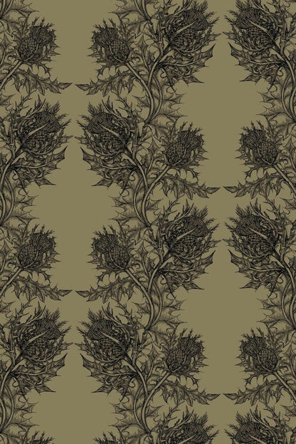 Thistle Wallpaper - Black on Khaki - Timorous Beasties - HS/THL/4002/SNW - Premier Wallcovering