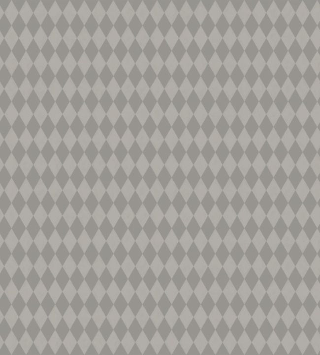 Titania Wallpaper - Metallic Pewter on Soot - 103/14057 - Cole & Son - Premier Wallcovering