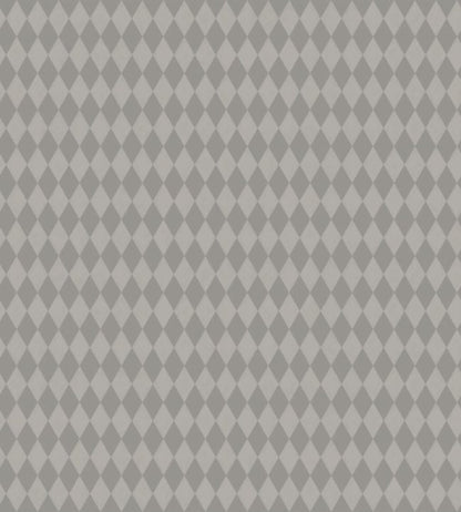 Titania Wallpaper - Metallic Pewter on Soot - 103/14057 - Cole & Son - Premier Wallcovering