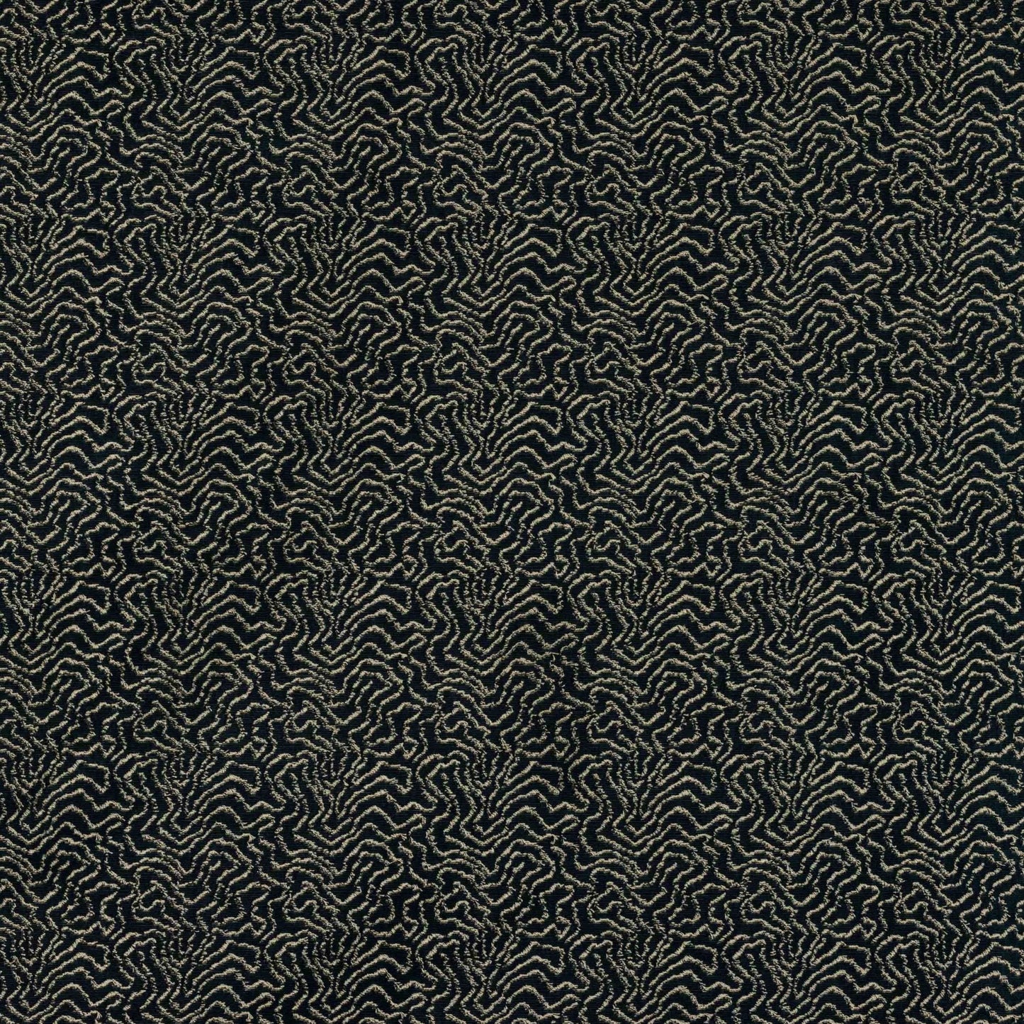 Titus Fabric - Nuit - Manuel Canovas - M4120-06 - Premier Wallcovering