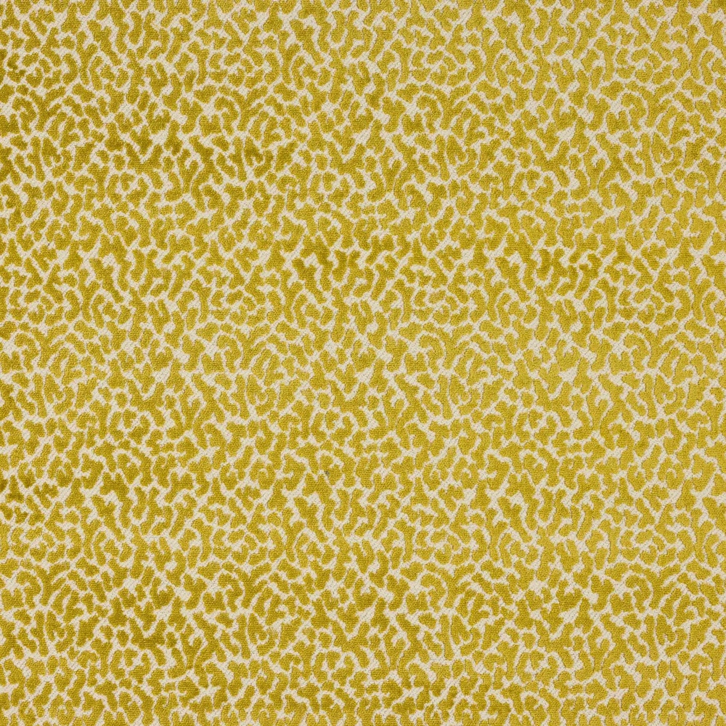 Tobago Fabric - Anis - Manuel Canovas - M4110-04 - Premier Wallcovering