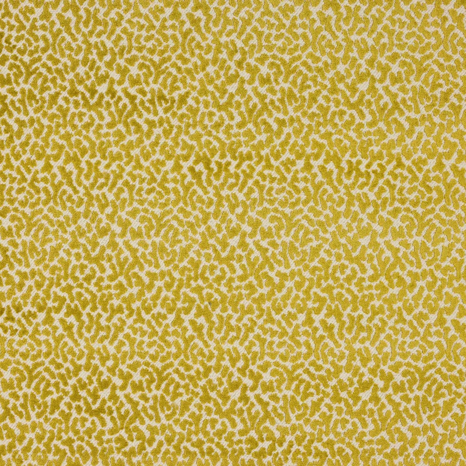 Tobago Fabric - Anis - Manuel Canovas - M4110-04 - Premier Wallcovering