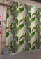 Topical Tropical Superwide Wallpaper - Vanilla - Timorous Beasties - DWN/TOPT/OBRN/01 - Premier Wallcovering