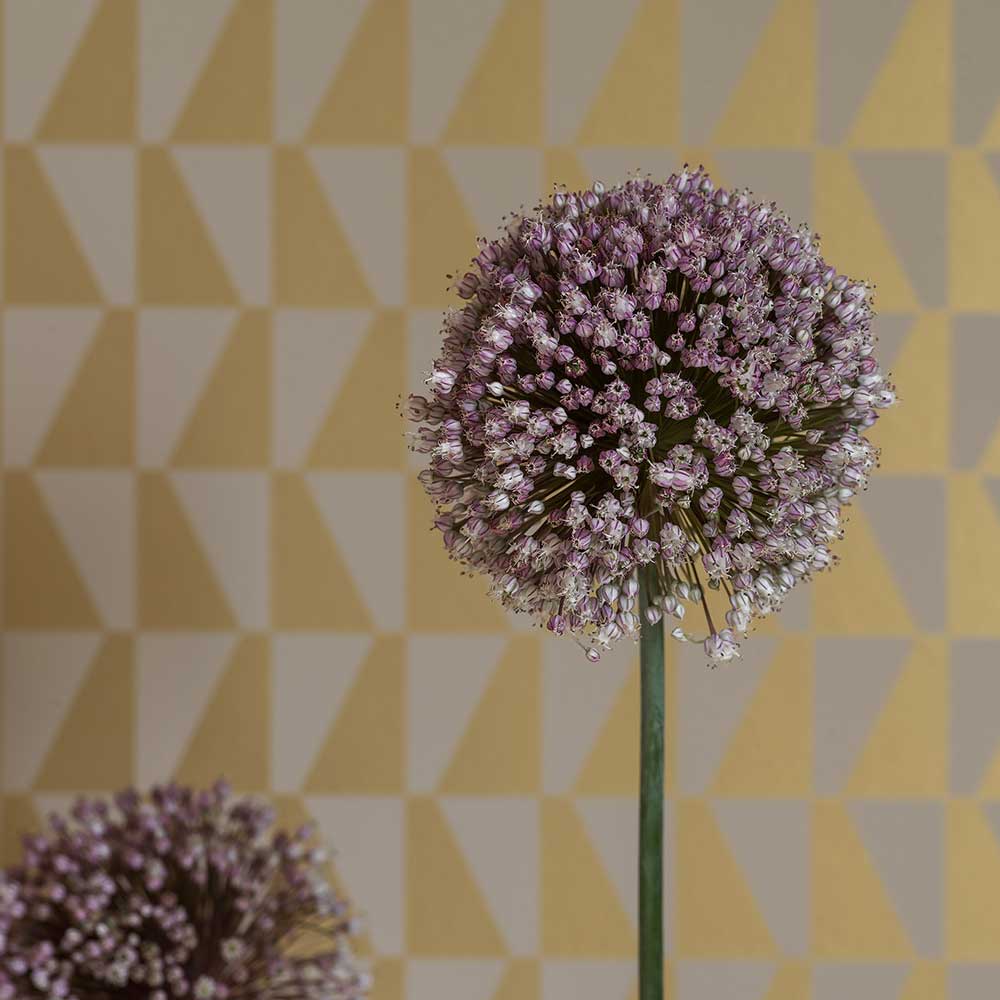 Trapez Wallpaper - Gold / Grey - Boråstapeter - 1992 - Premier Wallcovering