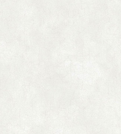 Trianon Wallpaper - Chalk - 99/11047 - Cole & Son - Premier Wallcovering