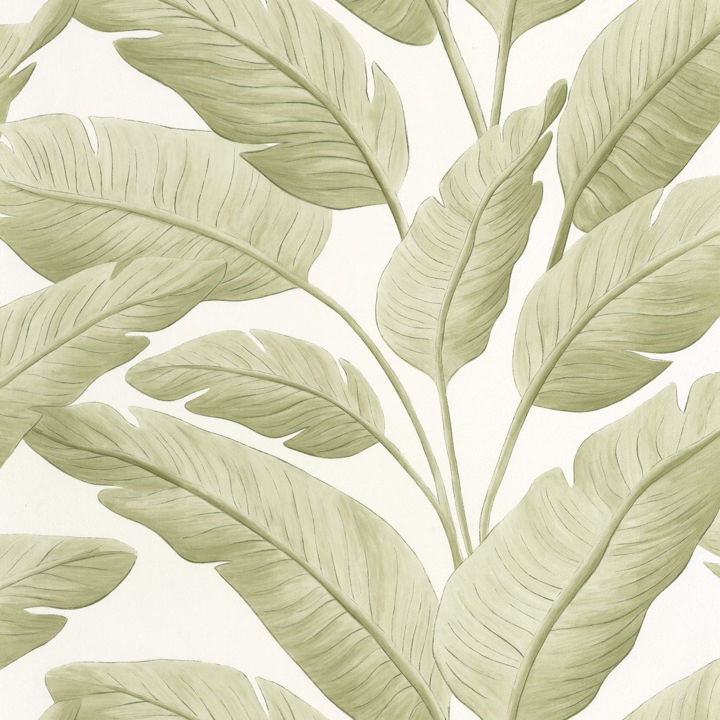 Tropicalia Wallpaper - Amande - Caselio - 106547003