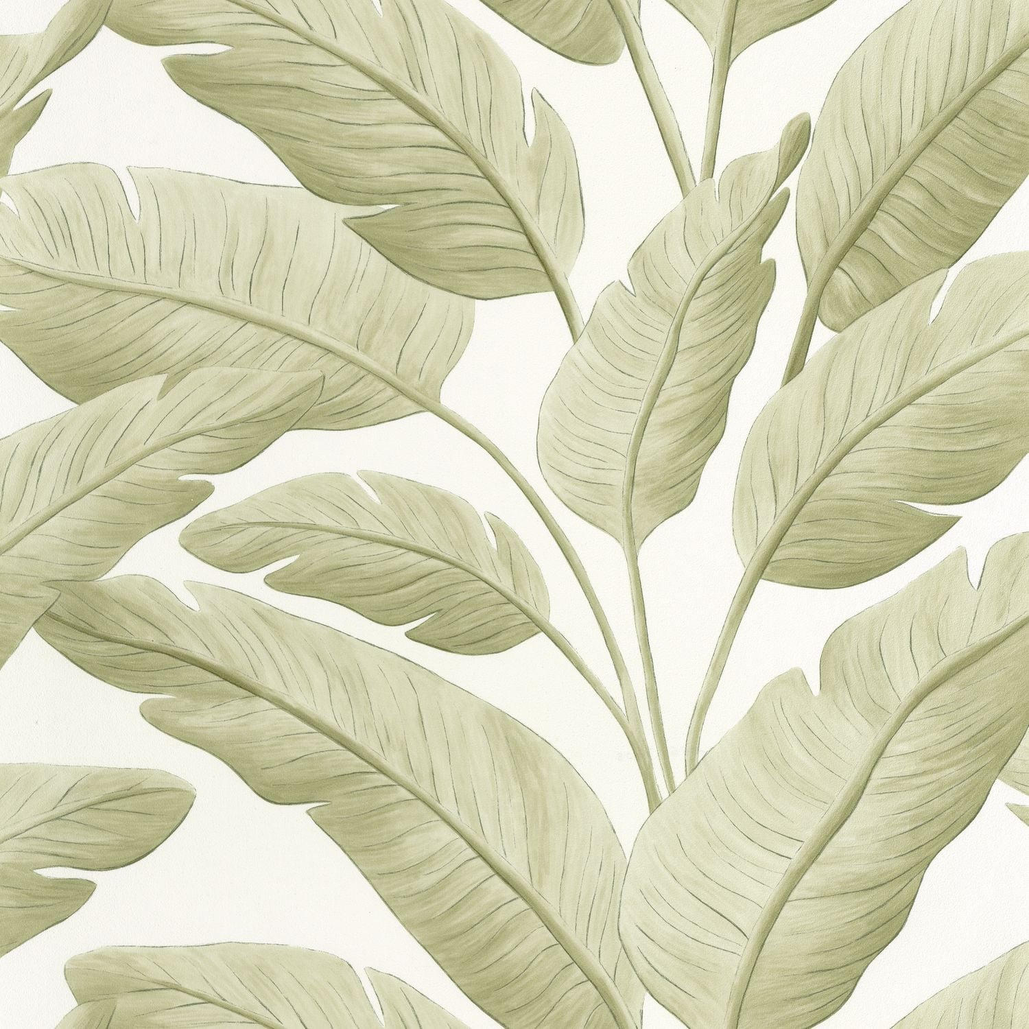 Tropicalia Wallpaper - Amande - Caselio - 106547003