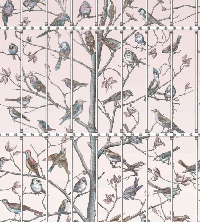Uccelli Wallpaper - Ballet Slipper - 114/11022 - Cole & Son - Premier Wallcovering