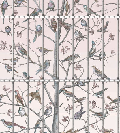 Uccelli Wallpaper - Ballet Slipper - 114/11022 - Cole & Son - Premier Wallcovering