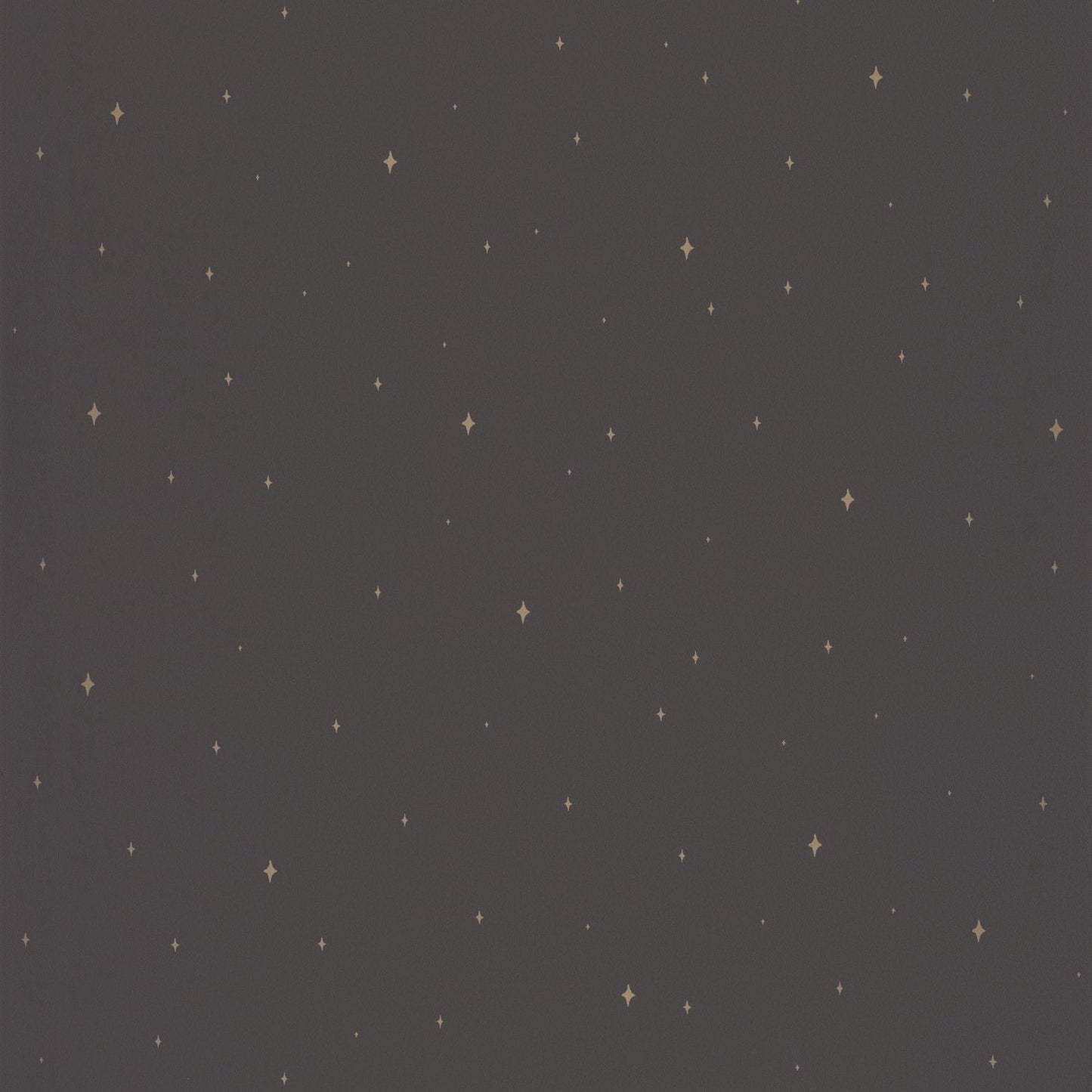 Under The Stars Wallpaper - Noir - Caselio - 102969983