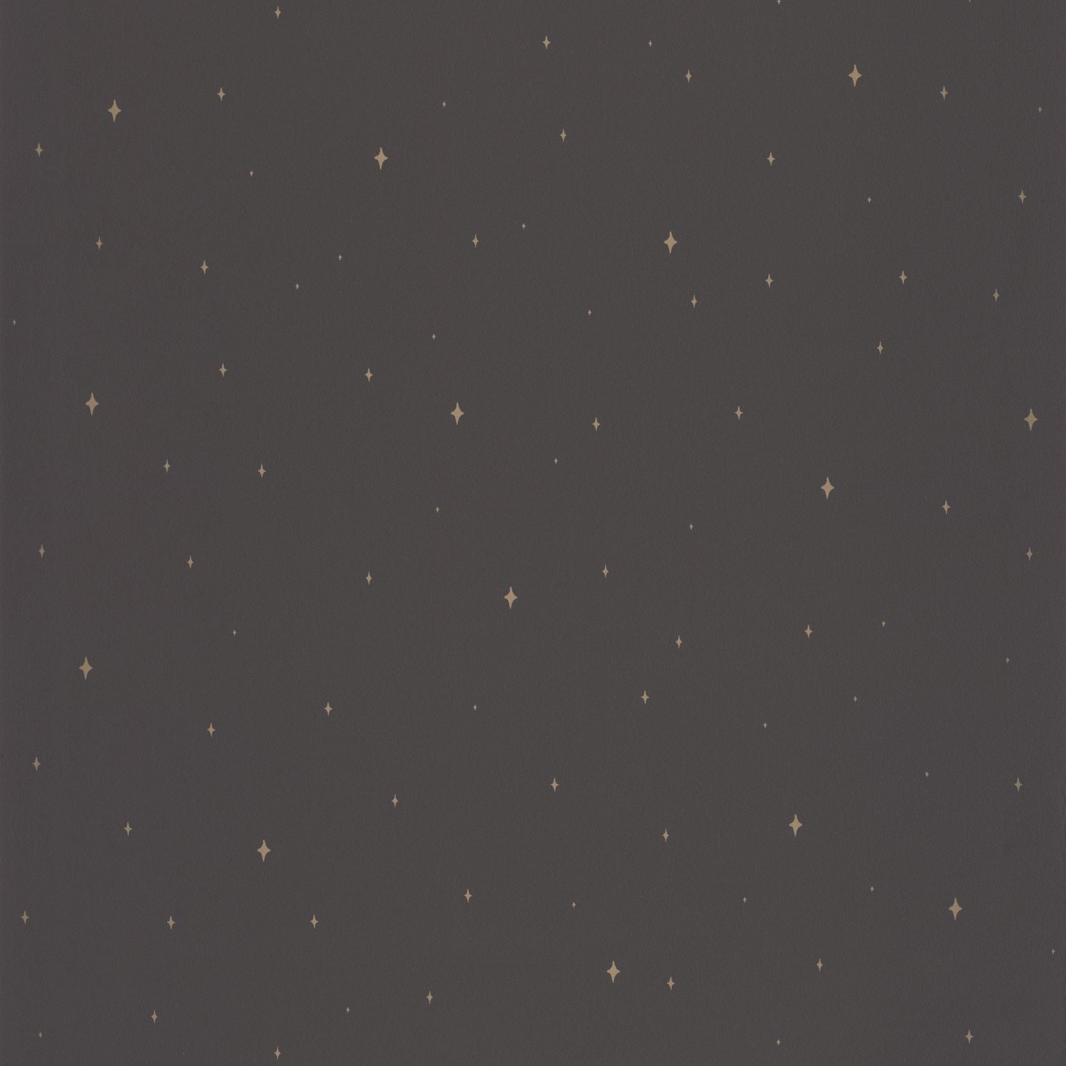 Under The Stars Wallpaper - Noir - Caselio - 102969983